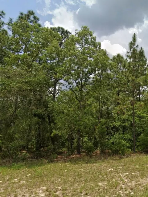 63 Rd Ave, Ocala, FL 34473 photo 2
