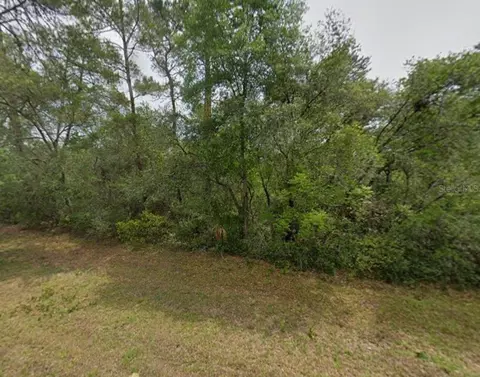 tbd SW 31 Ct, Ocala, FL 34473 photo 2