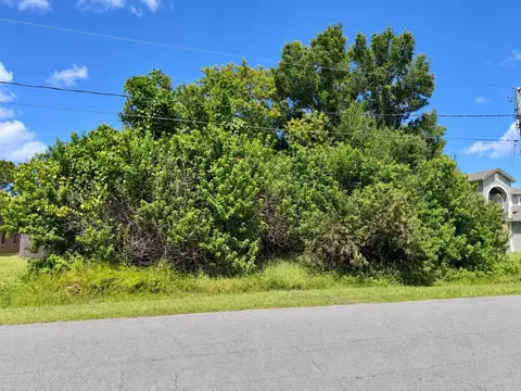1005 Cannes Dr, Kissimmee, FL 34759