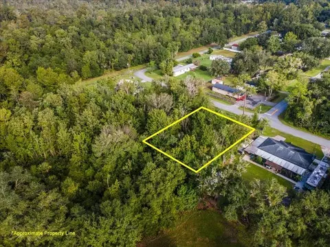 0 Wile Ave, Intercession City, FL 33848 photo 4