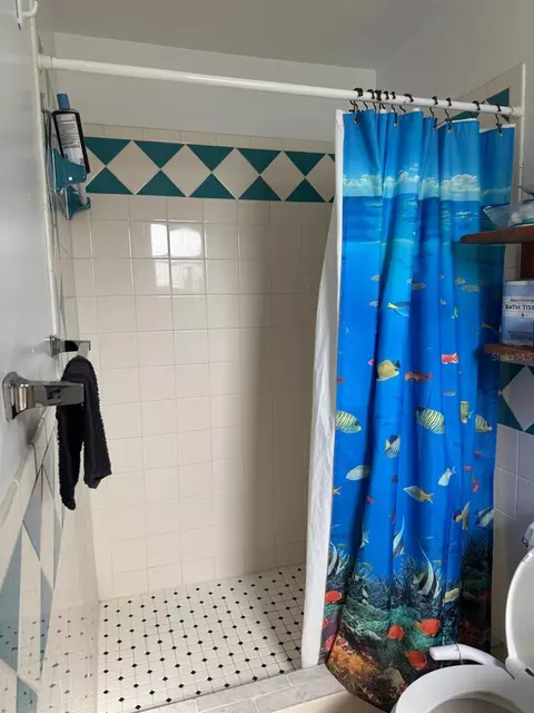 Bath - 978 Nagle Dr, Rockledge, FL 32955 photo 4 of 4