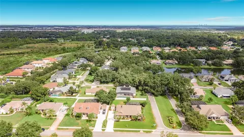 View/Area - 5243 Hammock Pointe Ct, Saint Cloud, FL 34771 photo 7 of 13