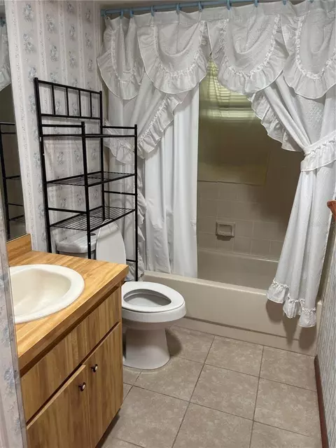 Bath - 3415 Mary Ln, Mount Dora, FL 32757 photo 3 of 3