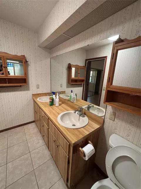 Bath - 3415 Mary Ln, Mount Dora, FL 32757 photo 2 of 3
