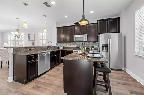 Kitchen - 22004 Belgian Ct, Mount Dora, FL 32757 photo 3 of 4
