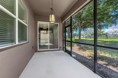 Exterior - 22004 Belgian Ct, Mount Dora, FL 32757 photo 3 of 4