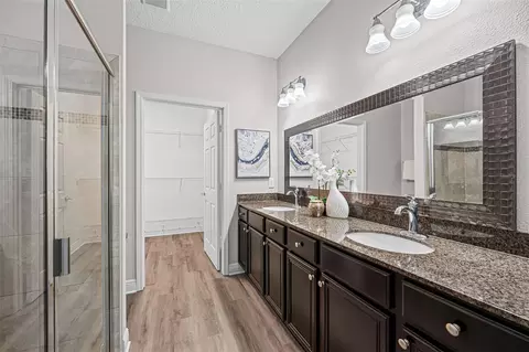Bath - 22004 Belgian Ct, Mount Dora, FL 32757 photo 2 of 3
