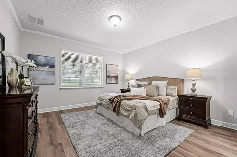Bedroom - 22004 Belgian Ct, Mount Dora, FL 32757 photo 1 of 3
