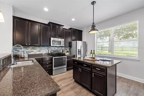 Kitchen - 22004 Belgian Ct, Mount Dora, FL 32757 photo 2 of 4