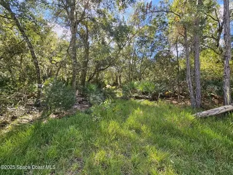 4600 Beacon Light Rd, Edgewater, FL 32141 photo 11