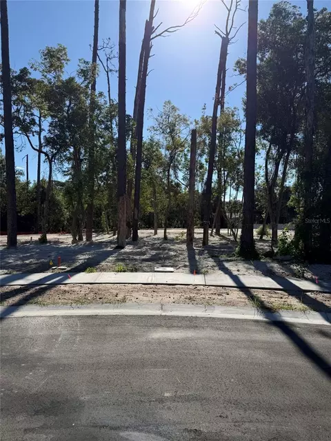 1302 Almaria Ct, Palm Harbor, FL 34683