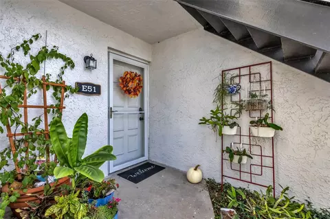 3811 N Oak Dr #E51, Tampa, FL 33611