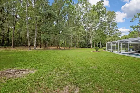 Exterior - 1652 W Tacoma St, Hernando, FL 34442 photo 12 of 15