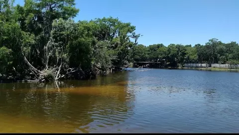 1041 Lemon Bluff Rd, Osteen, FL 32764