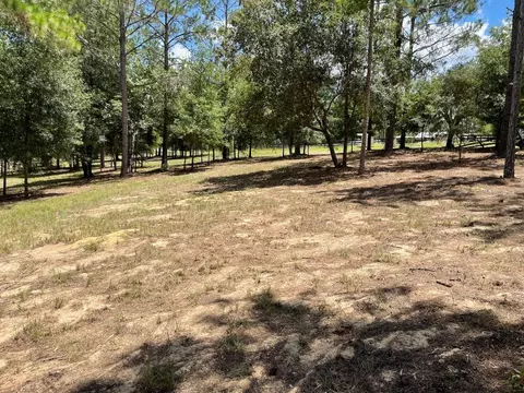 Calhoun Road, Eustis, FL 32726 photo 4