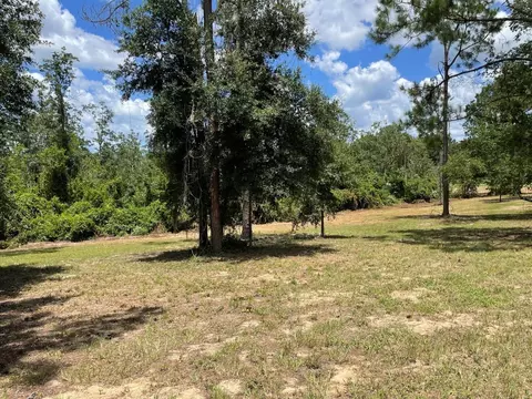 Calhoun Road, Eustis, FL 32726 photo 9