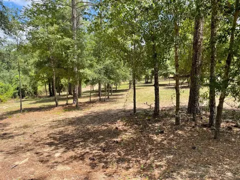 Calhoun Road, Eustis, FL 32726 photo 7
