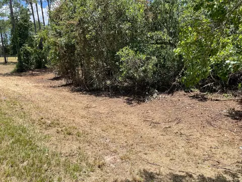 Calhoun Road, Eustis, FL 32726 photo 5