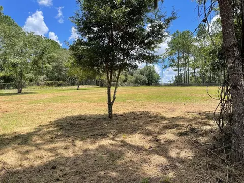 Calhoun Road, Eustis, FL 32726 photo 3
