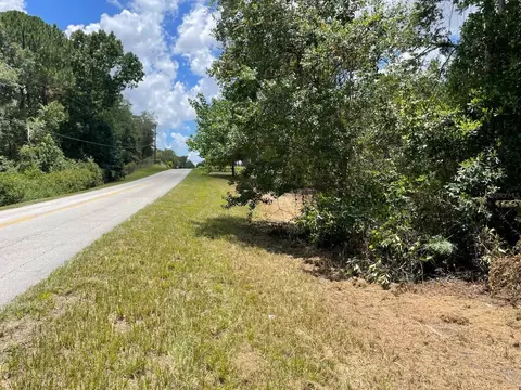 Calhoun Road, Eustis, FL 32726 photo 10