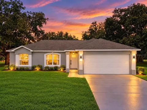 1011 Eiffel Ln, Kissimmee, FL 34759