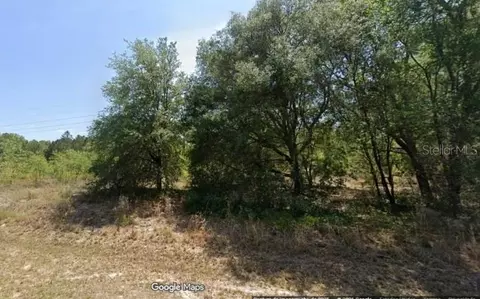 Locust Road, Ocala, FL 34472 photo 3