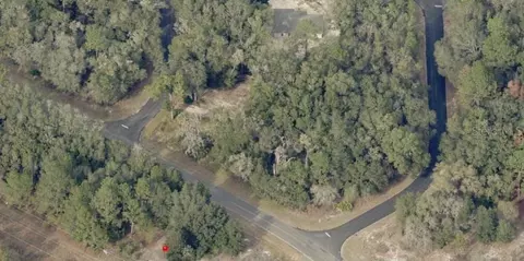 Locust Road, Ocala, FL 34472 photo 2