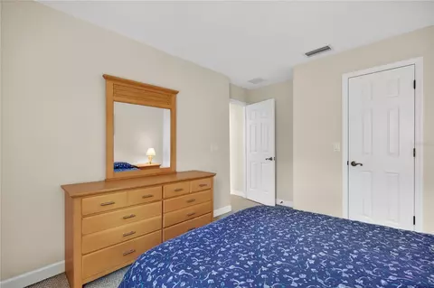 Bedroom - 3003 New Haven Pl, Mount Dora, FL 32757 photo 5 of 6