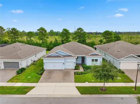 View/Area - 2769 Cherry Blossom Loop, Saint Cloud, FL 34771 photo 1 of 6
