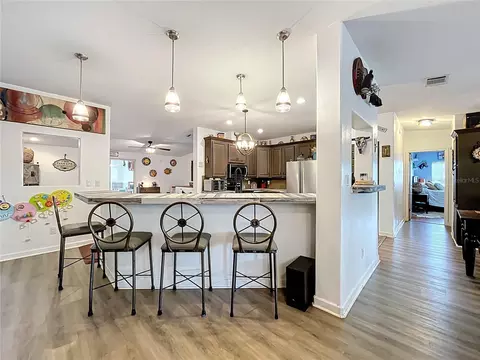 Kitchen - 21320 Paradise Way, Eustis, FL 32736 photo 10 of 11
