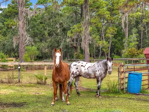 Other - 21320 Paradise Way, Eustis, FL 32736 photo 1 of 18