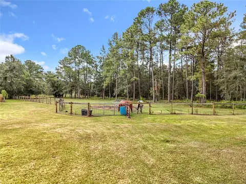 Exterior - 21320 Paradise Way, Eustis, FL 32736 photo 27 of 30