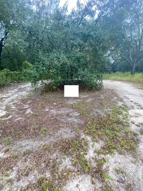 tbd SW 173 Pl, Ocala, FL 34473 photo 6