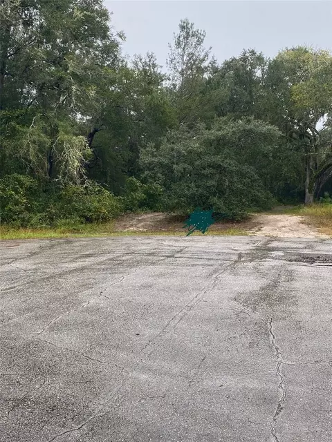 tbd SW 173 Pl, Ocala, FL 34473 photo 7