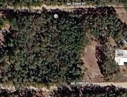Ne 238th Pl, Fort Mc Coy, FL 32134