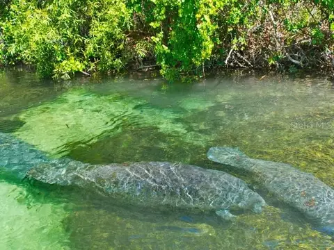 Other - 15163 Scaup Duck Ave, Weeki Wachee, FL 34614 photo 11 of 11