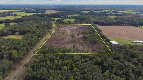 2 West Highway 318, Reddick, FL 32686 photo 4