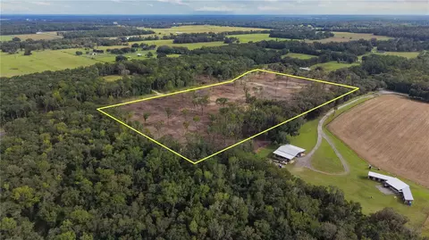 2 West Highway 318, Reddick, FL 32686 photo 3