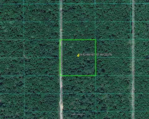 Underwood Avenue, Hastings, FL 32145