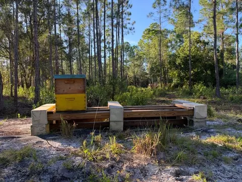 Exterior - 8961 Freedom Rd, Mims, FL 32754 photo 12 of 12