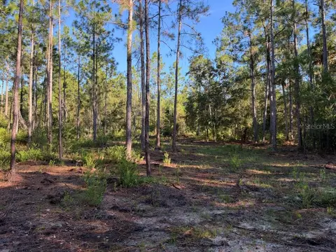 Other - 8961 Freedom Rd, Mims, FL 32754 photo 9 of 20