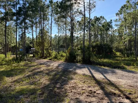 Other - 8961 Freedom Rd, Mims, FL 32754 photo 3 of 20