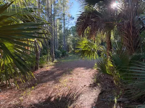 Other - 8961 Freedom Rd, Mims, FL 32754 photo 7 of 20