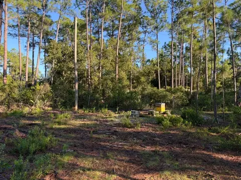 Other - 8961 Freedom Rd, Mims, FL 32754 photo 18 of 20