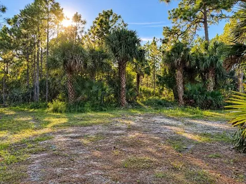Exterior - 8961 Freedom Rd, Mims, FL 32754 photo 7 of 12