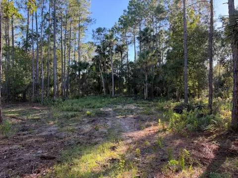 Other - 8961 Freedom Rd, Mims, FL 32754 photo 8 of 20