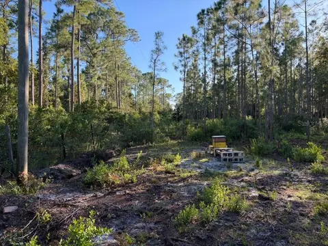 Other - 8961 Freedom Rd, Mims, FL 32754 photo 19 of 20