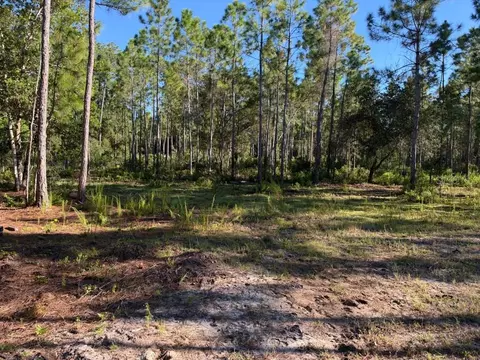Exterior - 8961 Freedom Rd, Mims, FL 32754 photo 1 of 12