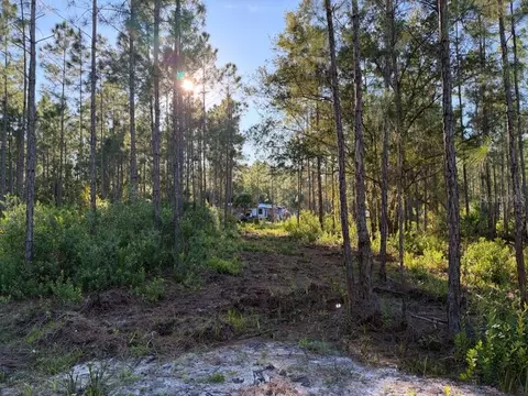 Other - 8961 Freedom Rd, Mims, FL 32754 photo 20 of 20