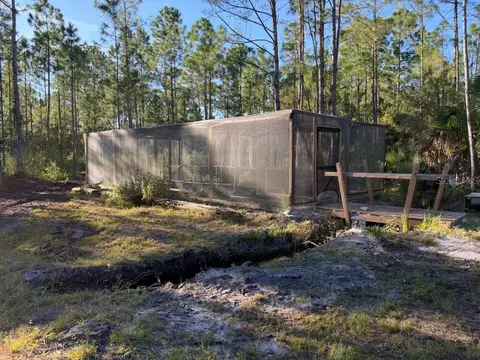 Other - 8961 Freedom Rd, Mims, FL 32754 photo 14 of 20